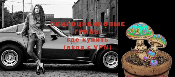 МДПВ Абдулино