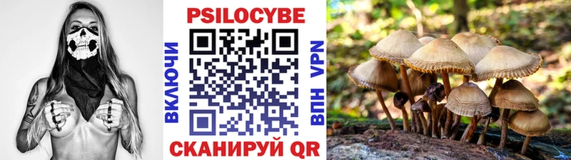 как найти закладки  Арамиль  Псилоцибиновые грибы Psilocybe 